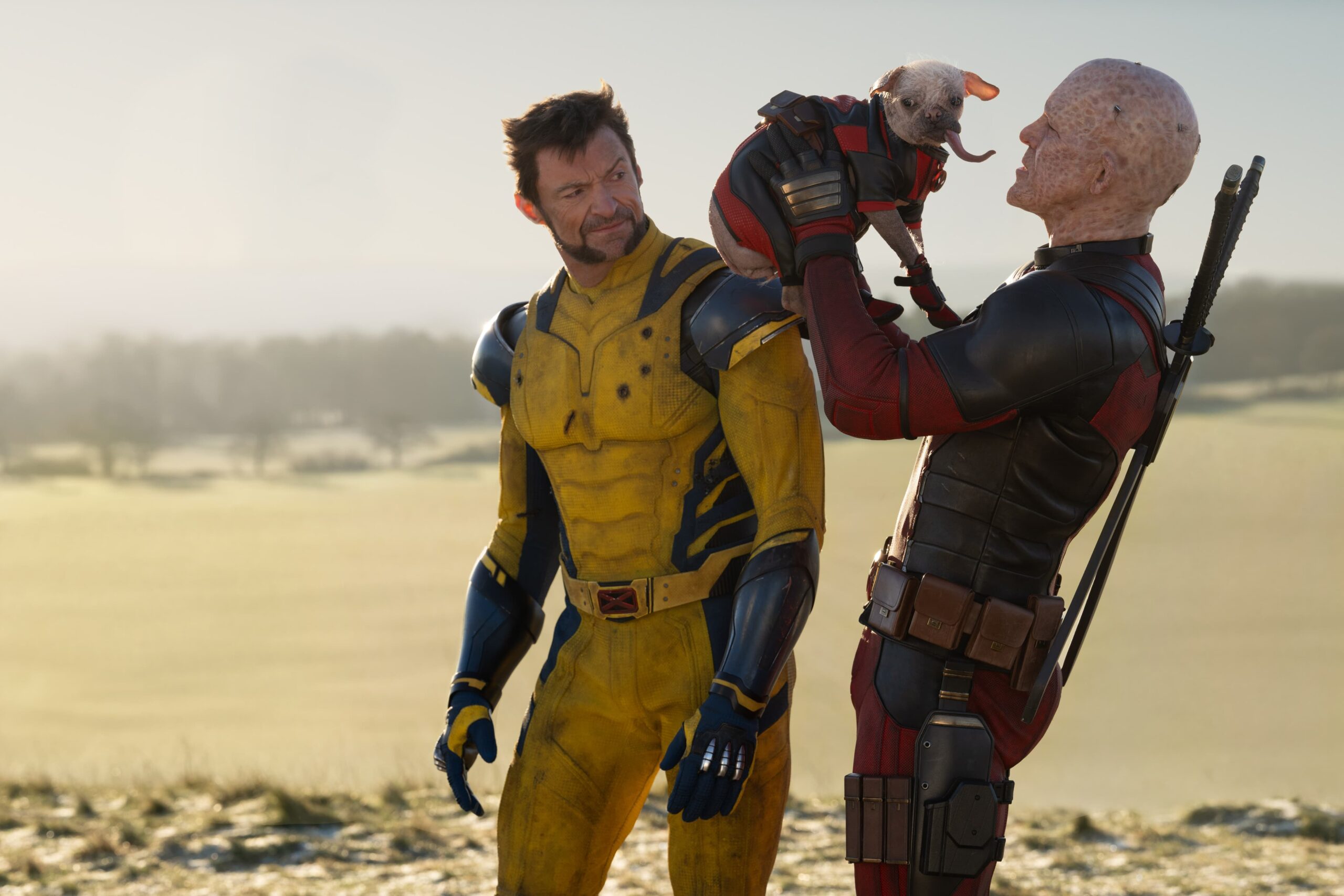 deadpoolandwolverine