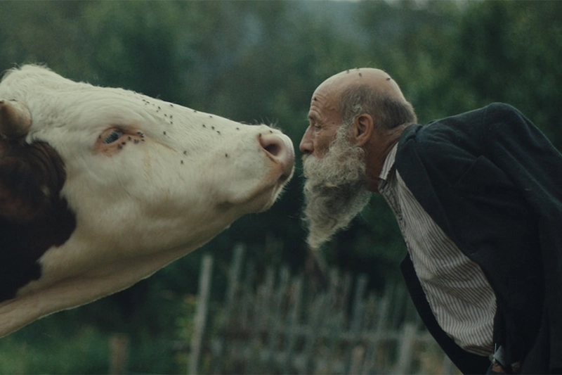 36_ankara_ff_sira_disi_belegeseller