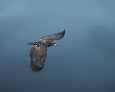 Adaletin, Zamanın ve Yaşama Direncinin Peşinde Filmler Uluslararası Suç ve Ceza Film Festivali’nde…